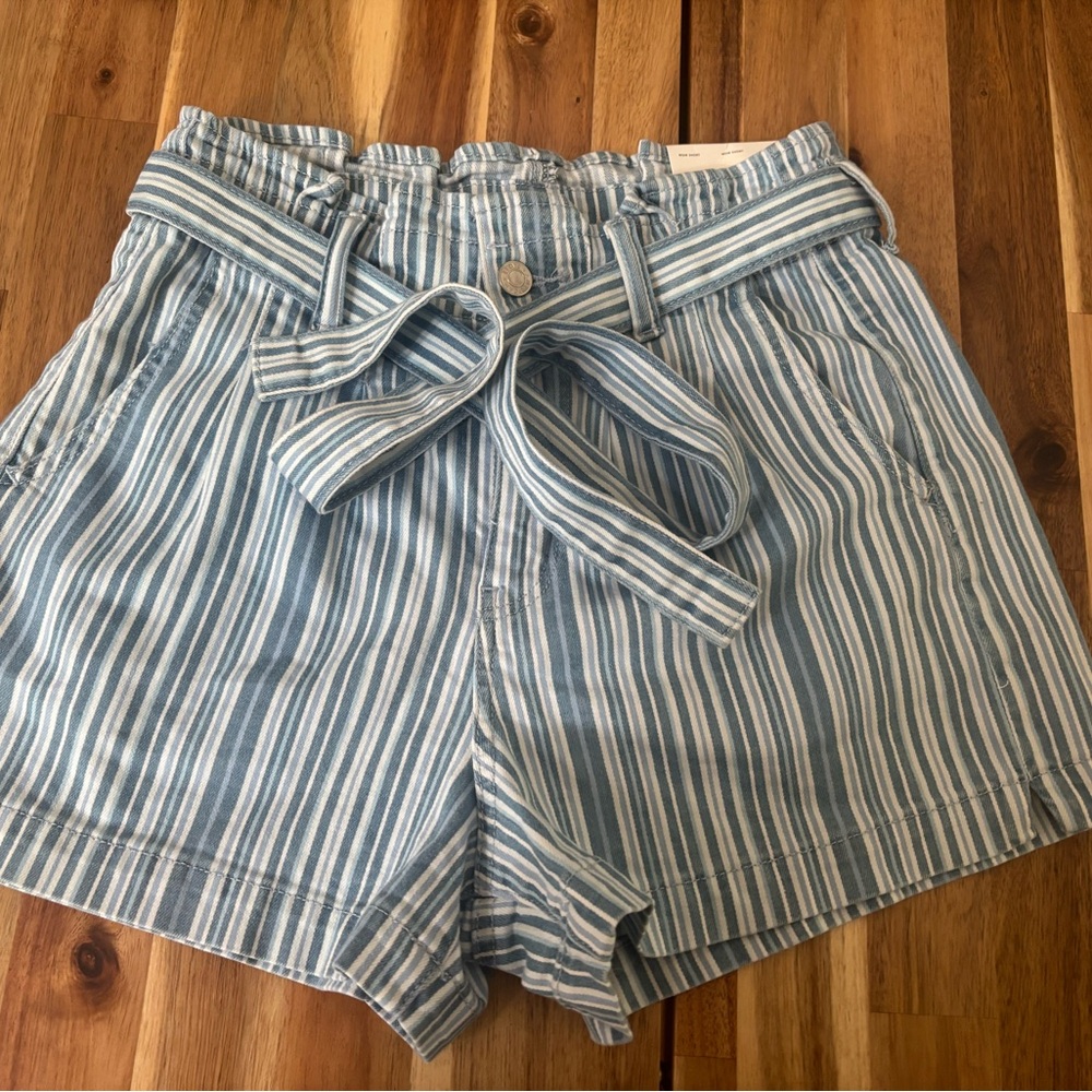 American Eagle NWT  Blue Women's Shorts